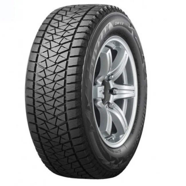 Blizzak DM-V2