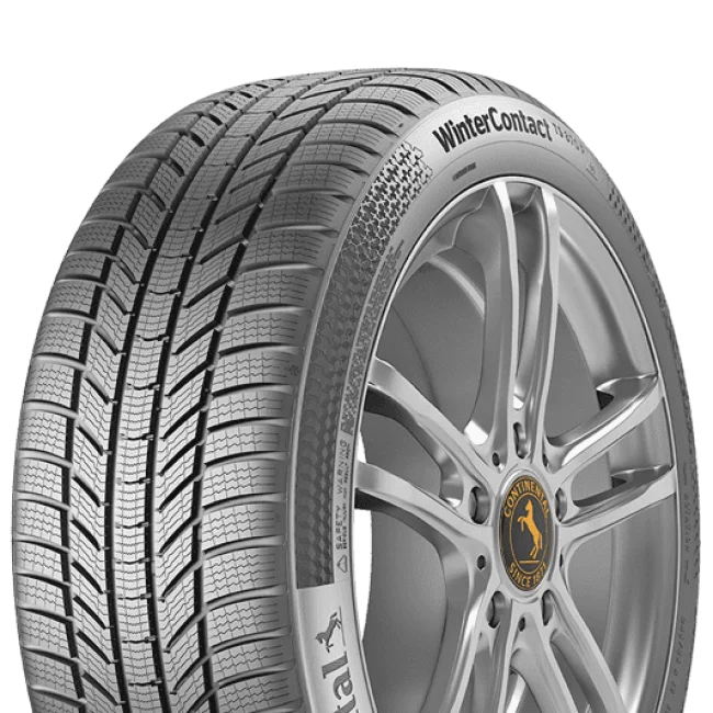 WinterContact TS 870 P