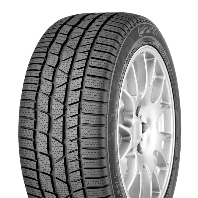 WINTERCONTACT TS830 P