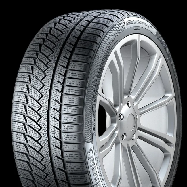 WINTERCONTACT TS850P