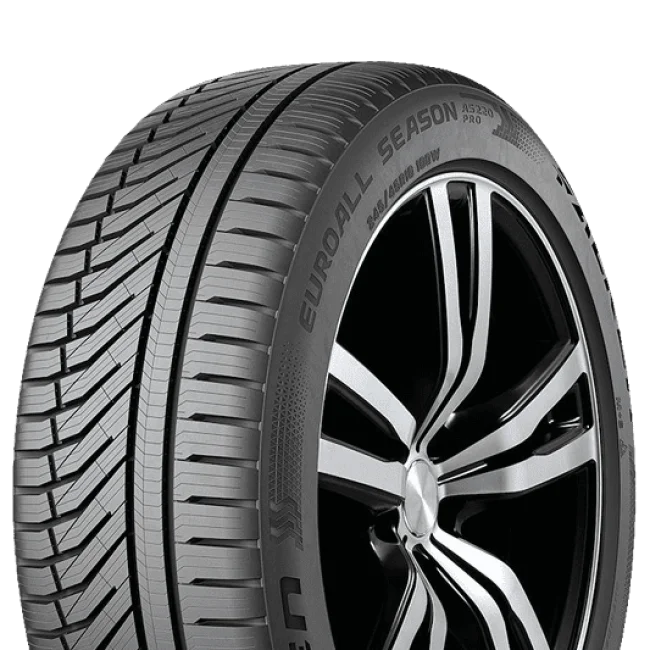 AS220 Pro Allseason